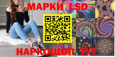 mdpv Кандалакша