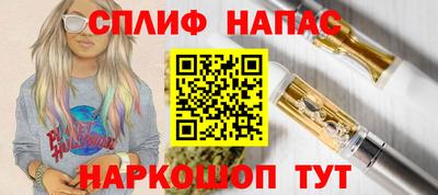 амф Камышлов