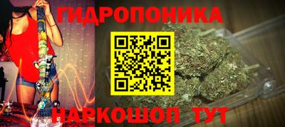эйфоретик Канаш