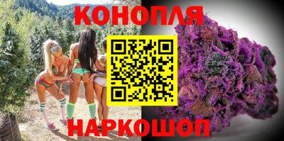 амф Камышлов