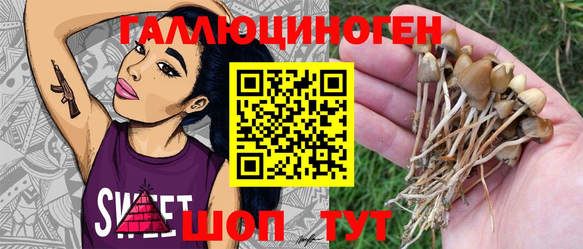 Псилоцибиновые грибы MAGIC MUSHROOMS  Вход с VPN  Псилоцибиновые грибы прущие грибы  Югорск 